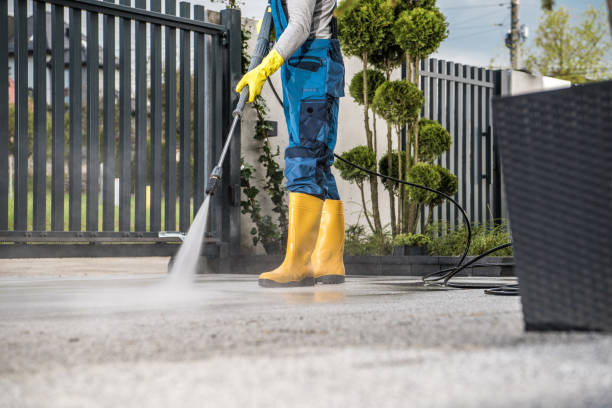 Local Pressure Washing Services